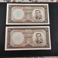 انواع جفت اسکتاس شاهی سوپر بانکی