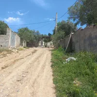 فروش زمین همراه با جواز ساخت در روستای نوراباد|فروش زمین و ملک کلنگی|رستم‌آباد, |دیوار