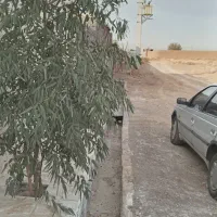 زمین-مسکونی-540-متر