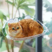 جای خواب پنجره ای گربه