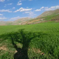 رنگه رژان|فروش دفتر صنعتی، کشاورزی، تجاری|سرشیو, |دیوار