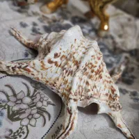 تعدادی دکوری منزل به علت جابجایی|صنایع دستی و سایر لوازم تزئینی|مشهد, خرمشهر|دیوار