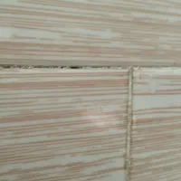 گم شدن مدارک به نام مهدی لطفی