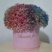 باکس گل ژیپسوفیلا