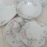 ظروف سرو وپذیرای