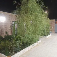 فروش خانه ویلایی ۳۲۳ متری ۲ خوابه در زیار|فروش خانه و ویلا|اصفهان, زیار|دیوار