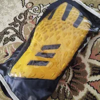 دستکش دروازه‌بانی