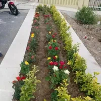 خدمات باغبانی فروش گل تعویض خاک گلدان گلکاری باغ