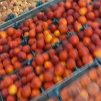 کارگر میوه فروشی ماهر به فروشندگی|استخدام خدمات فروشگاه و رستوران|قم, باغ کرباسی|دیوار