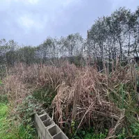 فروش-750-متر-زمین-مسکونی-در-کلویر