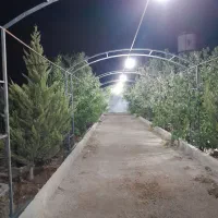 فروش باغ شهری خالد آباد فاتحی f14|فروش زمین و ملک کلنگی|شیراز, داریون|دیوار