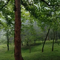 تور ۵ روزه شمال
