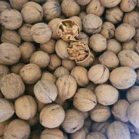 گردو خشک درجه یک