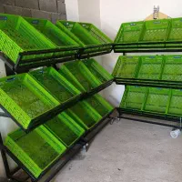 استند (قفسه)متحرک میوه فروشی (نو)|فروشگاه و مغازه|قیدار, |دیوار