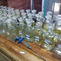 حراجی ویژه گالری عطر و ادکلن و زیورآلات و عینک|آرایشی، بهداشتی، درمانی|سنندج, |دیوار