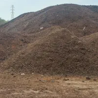 خریدار کود گاوی حیوانی مرغی