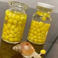 خاویار حلزون