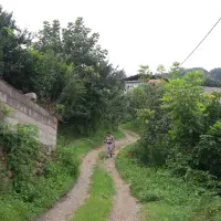 387زمین.تفکیکی .شهرکی