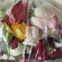 برگ گل رز|گل و گیاه طبیعی|صدرا-فارس, فاز ۲|دیوار