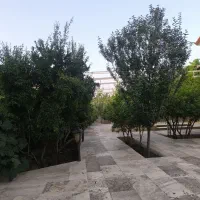 زمین-فروشی-در-نیاسر