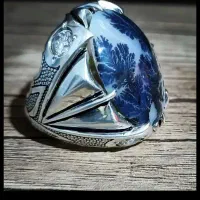 انگشتر شجر کلکسیونی