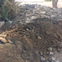 کود گاو گوسفند قاطی