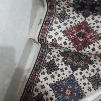 پشتی وروپله|فرش|سقز, |دیوار