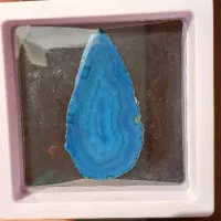 فلورین|جواهرات|محلات, |دیوار