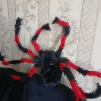 تعدادی عروسک ولباس بچه گانه کلی بفروش میرسدتعادی|حراج|تهران, تهرانپارس شرقی|دیوار