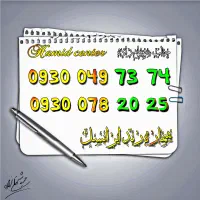 فروش ویژه دو شماره رُند ایرانسل