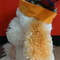 تعدادی عروسک|اسباب‌‌بازی|قم, هفت تیر|دیوار