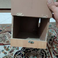 لانه پرنده|پرنده|تهران, بهمن یار|دیوار