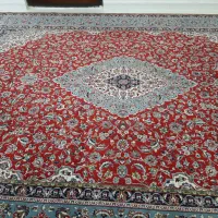 یک جفت فش ۱۲ متری