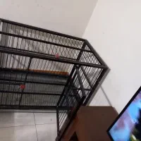 قفس پت سگ وگربه