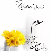 دربستی به تمام نقاط کشور