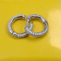انواع گوشواره حلقه ای، گوشواره آویز و گل گوش نقره|جواهرات|اصفهان, چرخاب|دیوار