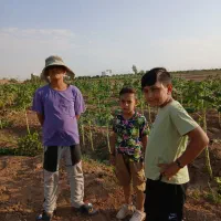 مزرعه نقلی با امکانات