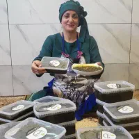 نیروی کار