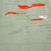 خودرو 405فروشی لزینگ