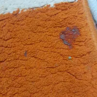 قالیچه ۱در ۱ونیم|فرش|مشهد, کوشک مهدی|دیوار