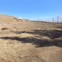 زمین بر جاده هرسین|فروش زمین و ملک کلنگی|بیستون, |دیوار