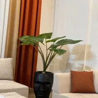 اجاره سوییت دربست|اجارهٔ کوتاه‌مدت آپارتمان و سوئیت|مشهد, کوثر|دیوار