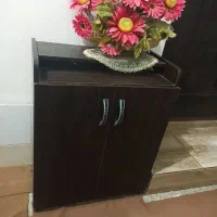 جاکفشی سالم