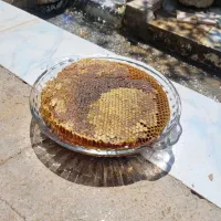 عسل کوهسار کلیدر  عسل ۱۰۰٪ طبیعی کوهستانی بینالود|خوردنی و آشامیدنی|مشهد, راهنمایی|دیوار