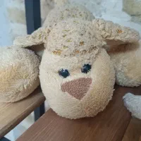 عروسک های پولیشی|اسباب‌بازی بچه|پردیس, فاز ۳|دیوار