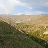 فروش زمین و باغ
