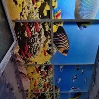 نصاب دیزایین منزل|خدمات پیشه و مهارت|شوشتر, |دیوار