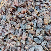 کشمش آفتابی درشت درشت|عمدهفروشی|ابهر, |دیوار