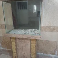 آکواریوم جادار|ماهی|تهران, بهاران|دیوار