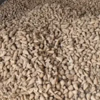 11تومن به فروش میرسد